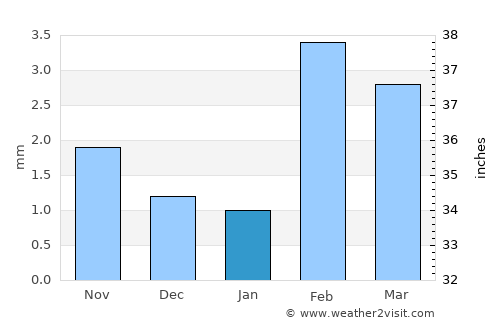 Tando Bāgo average rain in January
