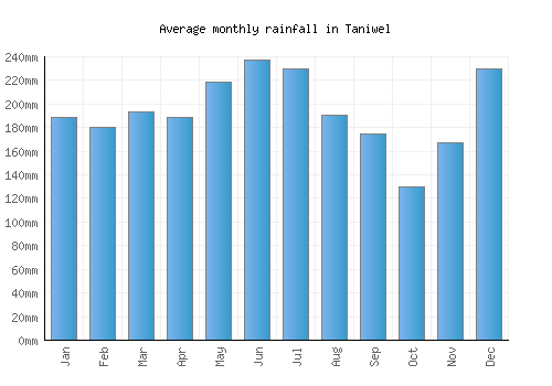 Taniwel monthly rainfall chart (mm)