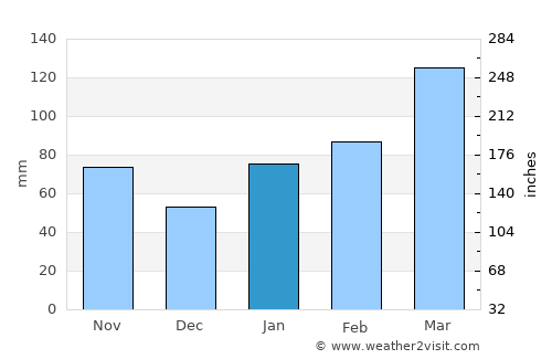 Tanushimaru average rain in January