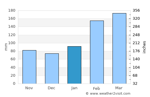 Taoyuan City average rain in January