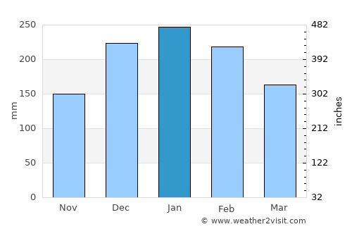Taquaritinga average rain in January