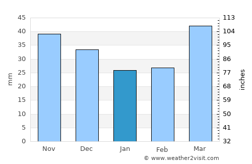Taraz average rain in January
