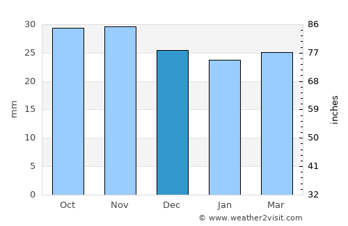Târgu Neamţ average rain in December