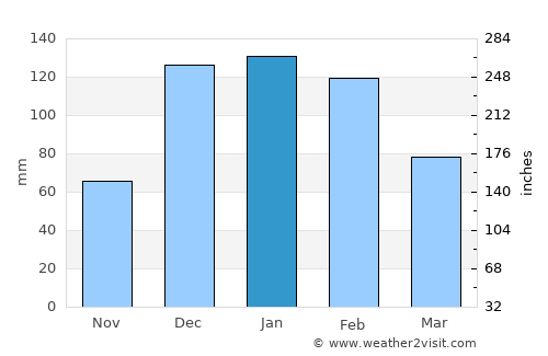 Tarija average rain in January