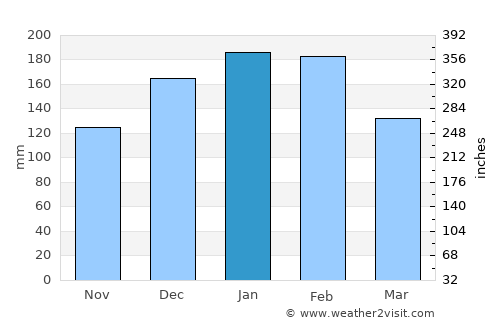 Tarumã average rain in January