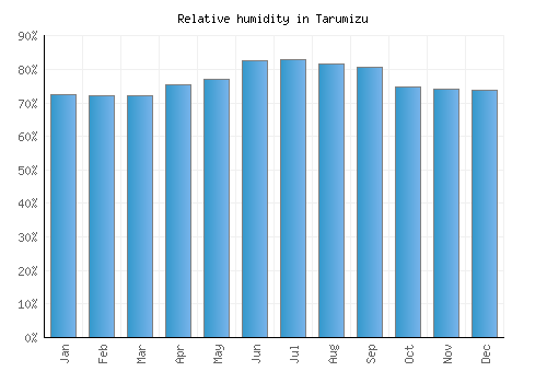 Tarumizu relative humidity averages