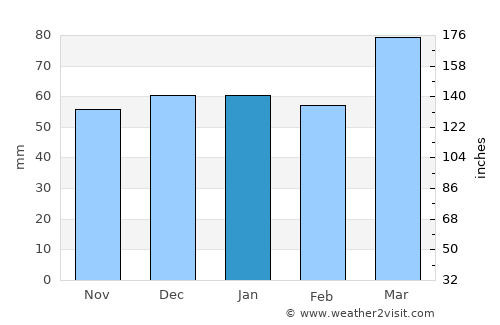 Tashkent average rain in January