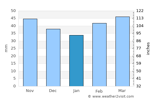 Taşlıçay average rain in January