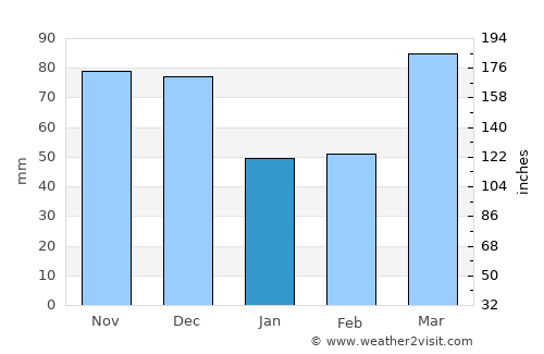 Taylorville average rain in January