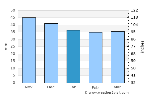 Teiu average rain in January