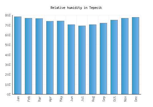 Tepecik relative humidity averages