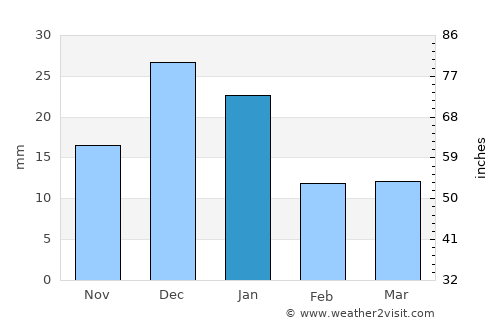 Tepic average rain in January