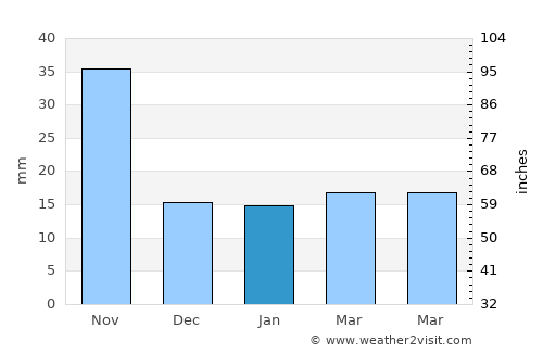 Tetela de Ocampo average rain in January