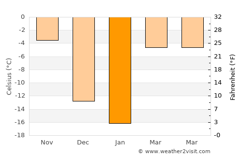 Thief River Falls average temperature in January