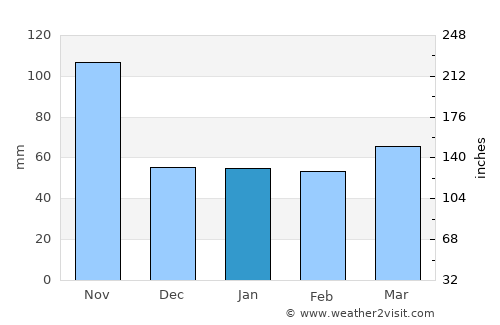 Thiene average rain in January