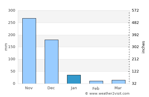 Thiruvidaimaruthur average rain in January