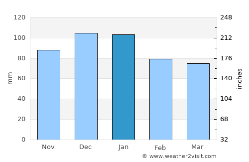 Thomastown average rain in January