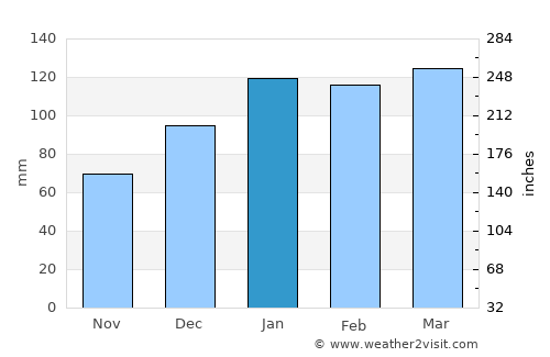 Tifton average rain in January
