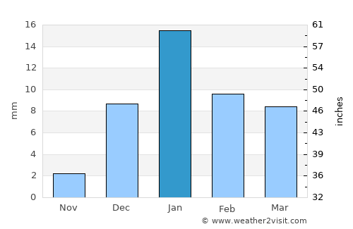 Tikaitnagar average rain in January