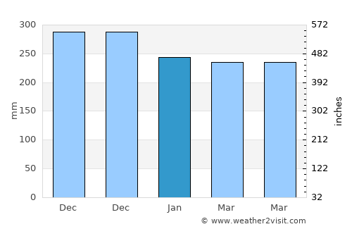 Tiku average rain in January