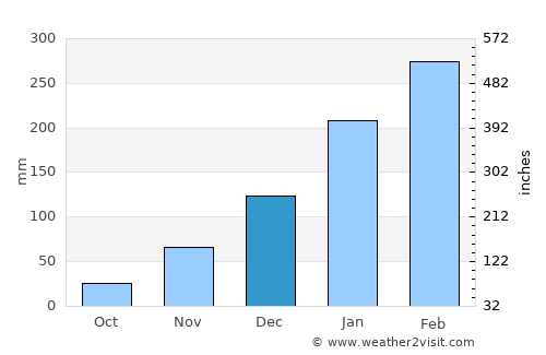 Timon average rain in December