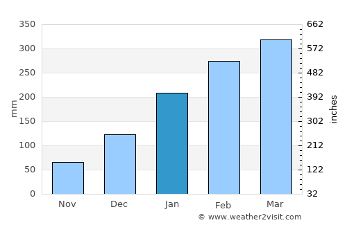 Timon average rain in January