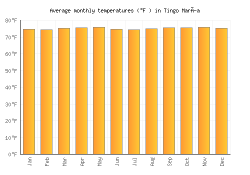 Tingo María average temperature chart (Fahrenheit)