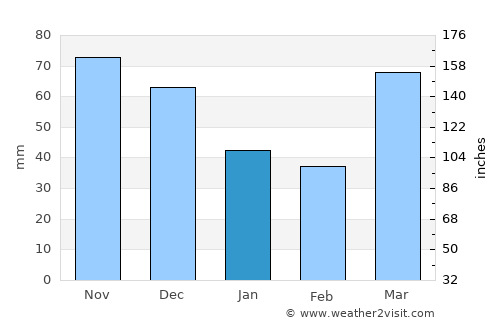 Tinley Park average rain in January