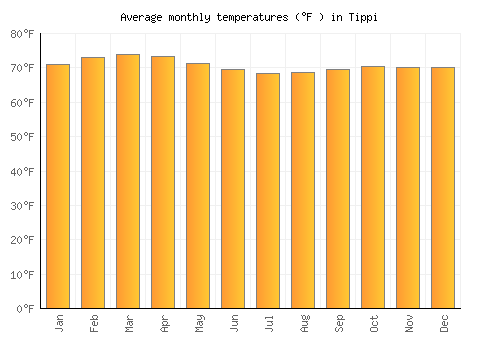 Tippi average temperature chart (Fahrenheit)