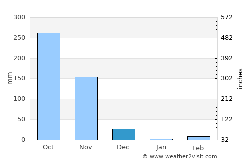 Tirūr average rain in December