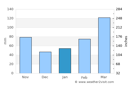 Toki average rain in January