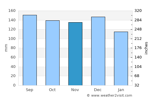Tokoroa average rain in November