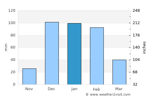Toliara average rain in January