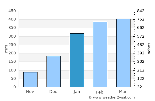 Tomé Açu average rain in January