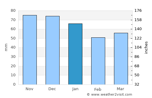 Tonya average rain in January