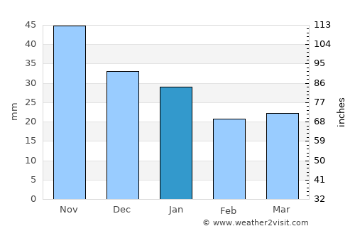 Topki average rain in January