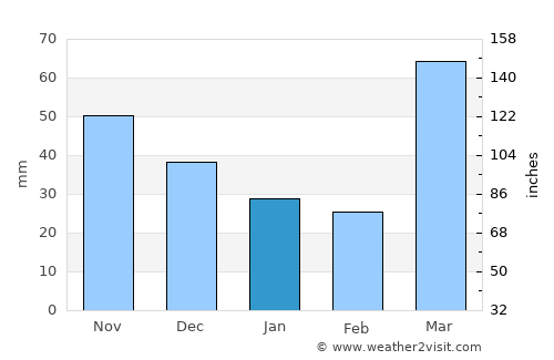 Trenton average rain in January