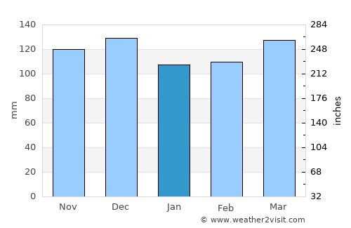 Trenton average rain in January
