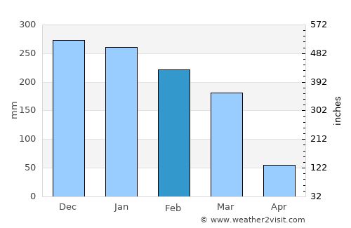 Três Corações average rain in February