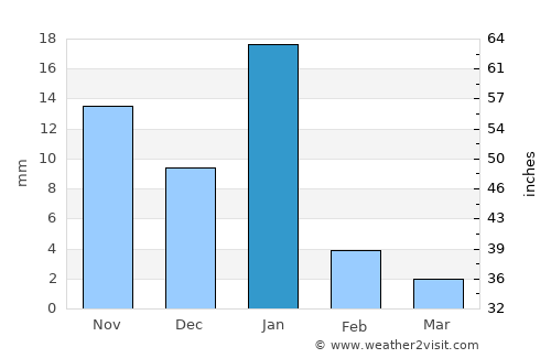 Tres Palos average rain in January