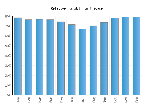 Tricase relative humidity averages