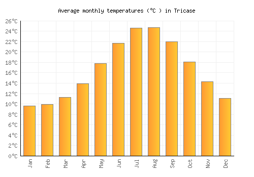 Tricase average temperature chart (Celsius)