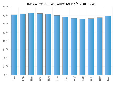 Trigg average sea temperature chart (Fahrenheit)