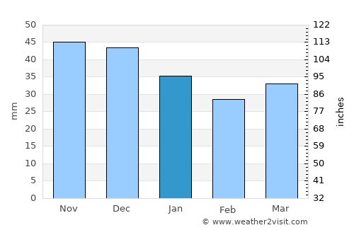 Trubchevsk average rain in January