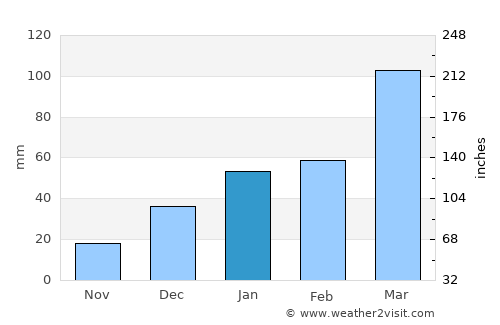 Tsrār Sharīf average rain in January