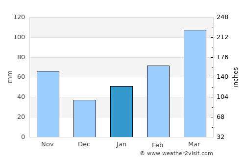 Tsurusaki average rain in January