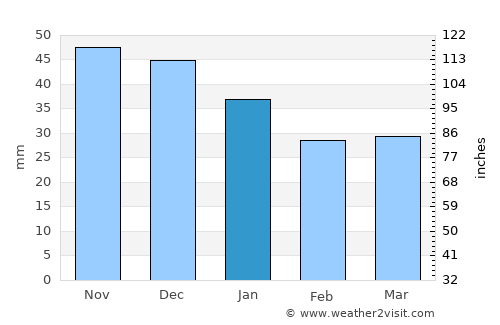 Tuchola average rain in January