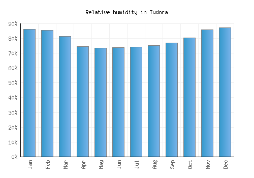 Tudora relative humidity averages