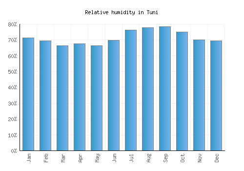 Tuni relative humidity averages