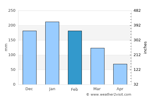 Tupã average rain in February